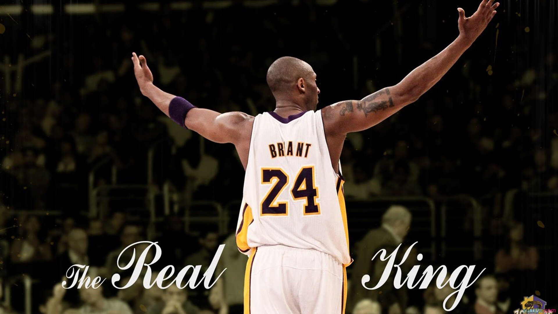 体育直播平台竞争格局