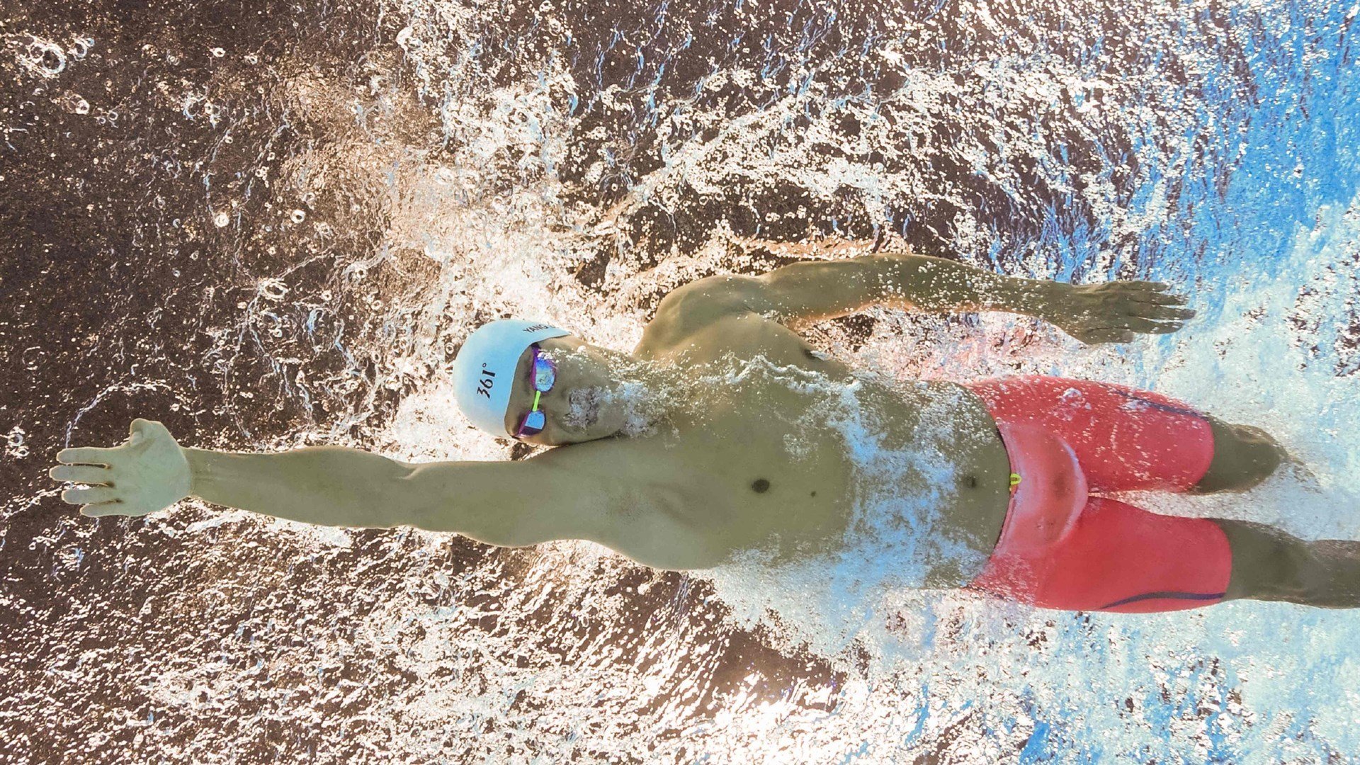 体育赛事年度趋势分析